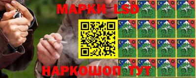 ешки Новодвинск