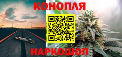 ешки Новодвинск