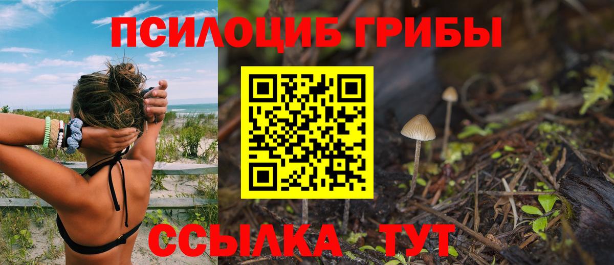 Татарск  Галлюциногенные грибы Cubensis  Вход с VPN 