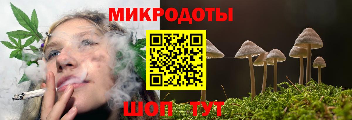 Галлюциногенные грибы Psilocybe Татарск